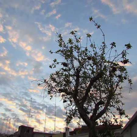 Bed and Breakfast La Muraglia Μπάρι